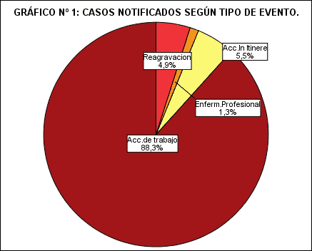 Gráfico N° 1