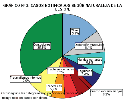Gráfico N° 3