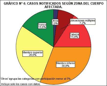 Gráfico N° 4