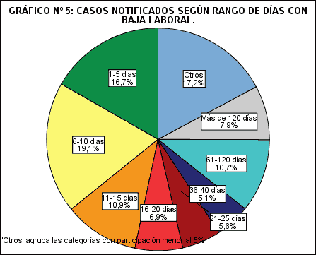 Gráfico N° 5