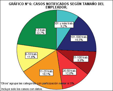 Gráfico N° 6