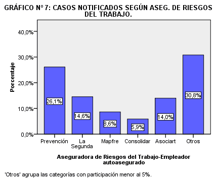 Gráfico N° 7