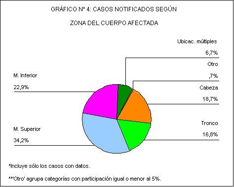 Sector de gráfico n 4: casos notificados según